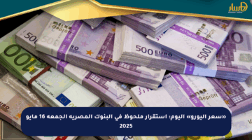 «سعر اليورو» اليوم: استقرار ملحوظ في البنوك المصرية الجمعة 16 مايو 2025